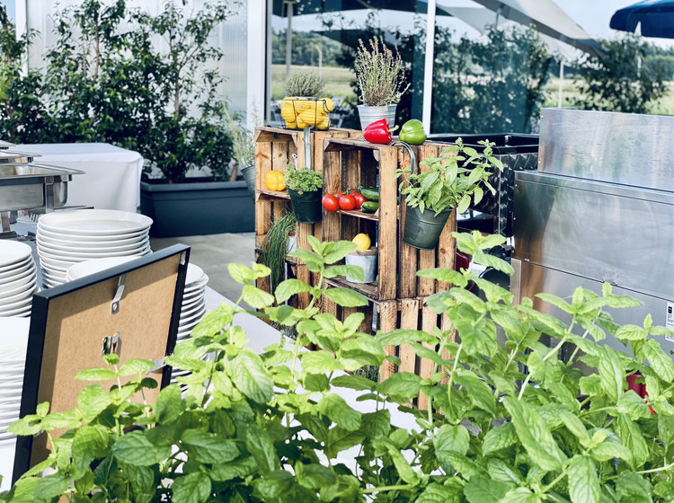 Gemütliche Terrasse mit Pflanzen, Kräutern und dekorativen Elementen auf Holzregalen vor einer Glasfassade, im Hintergrund Sitzgelegenheiten und Sonnenschirm.