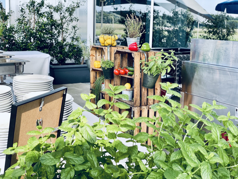 Gemütliche Terrasse mit Pflanzen, Kräutern und dekorativen Elementen auf Holzregalen vor einer Glasfassade, im Hintergrund Sitzgelegenheiten und Sonnenschirm.